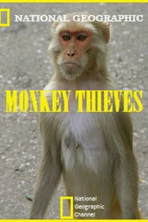 Обезьяны-воришки 1-2 сезон